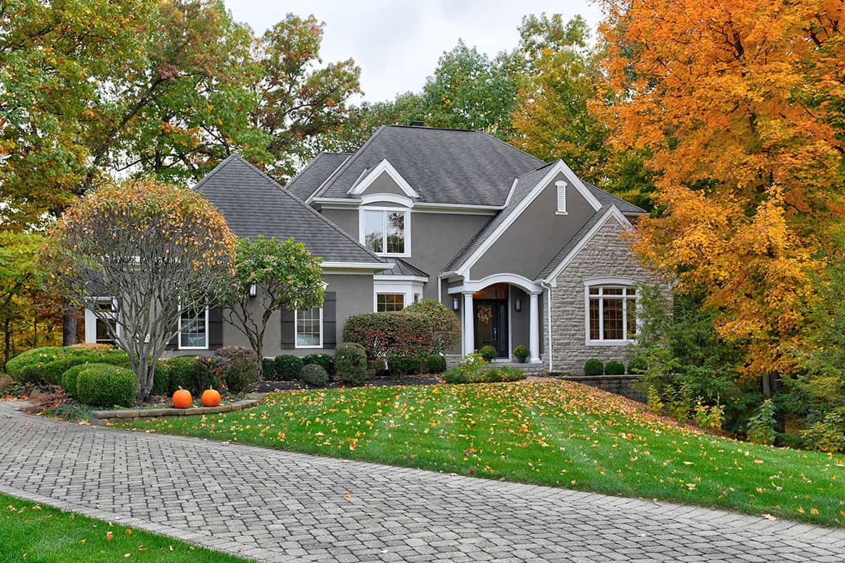 8523-Misty-Woods-43065-after