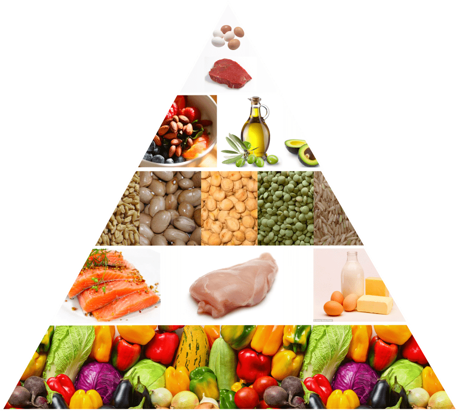 the food pyramid illustration for proper nutrition by Active Edge in Columbus Ohio