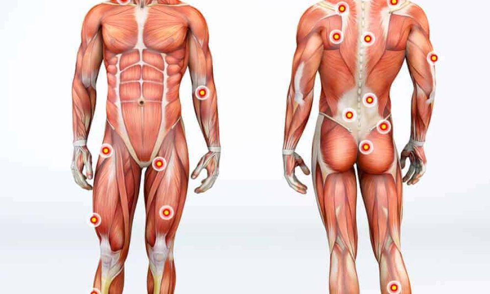 FasciaMysteriousBodyPartCausingPain